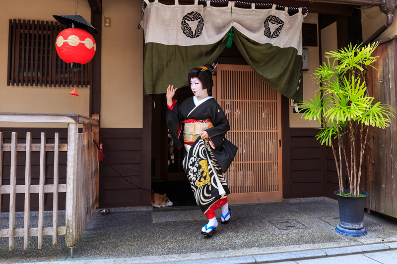 値下☆祇園京都♥オープニング・ピン☆ブラック等5点セット【花街・舞妓】ギター 値下祇園京都オープニング・ピンブラック等5点セット【花街・舞妓
