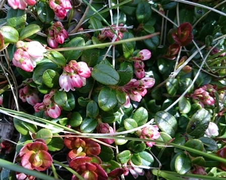 b0148050_1715987.jpg