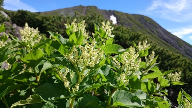 御嶽山　五の池小屋_b0148050_857352.jpg