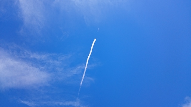 b0148050_859262.jpg