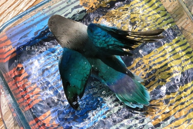 c0145250_10255410.jpg