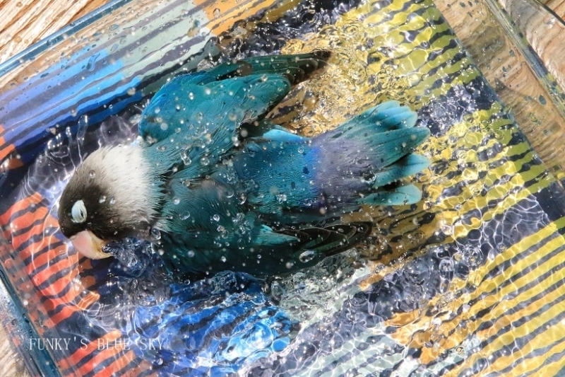 c0145250_10255796.jpg
