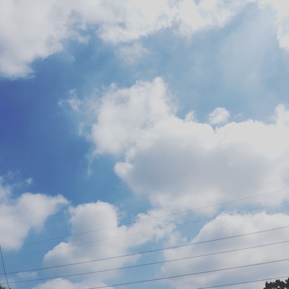 e0055358_11341384.jpg