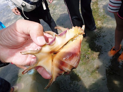 c0180460_62423.jpg