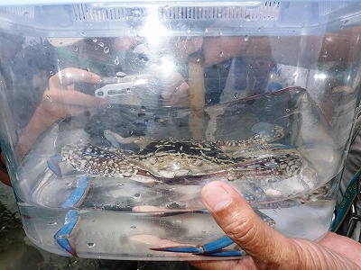 c0180460_632640.jpg