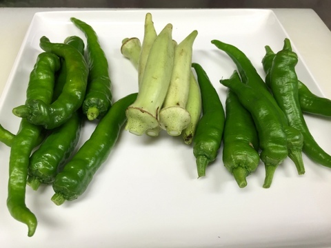 甘長とうがらし 白オクラ 万願寺とうがらし 長茄子 茄子 イル レオーネ 千林大宮駅近くのシェフソムリエのブログ