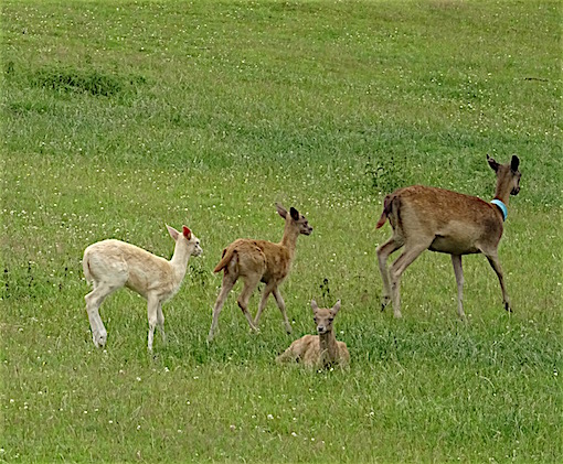 e0357367_151432.jpg