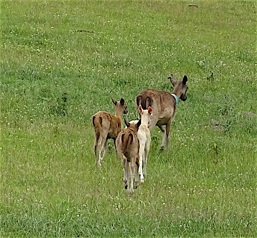 e0357367_153152.jpg
