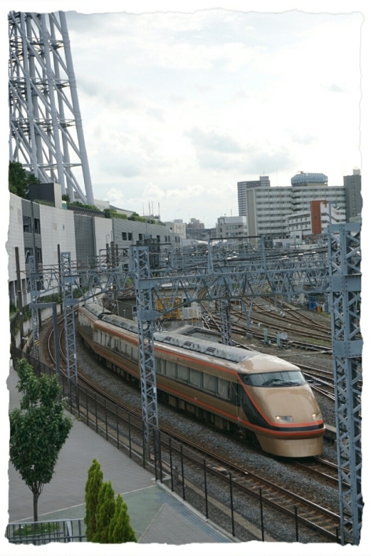 d0341483_12235411.jpg