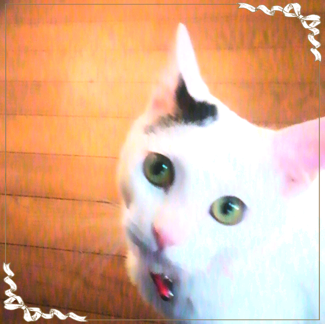 a0240486_20361864.png