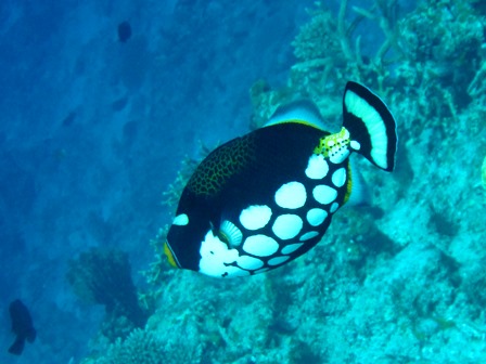 c0018489_16364067.jpg