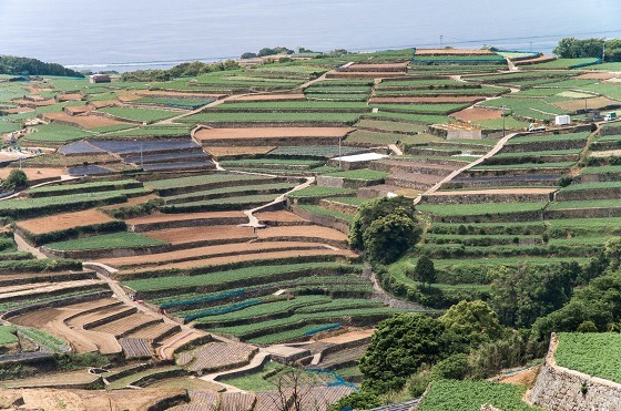 e0176993_07000150.jpg