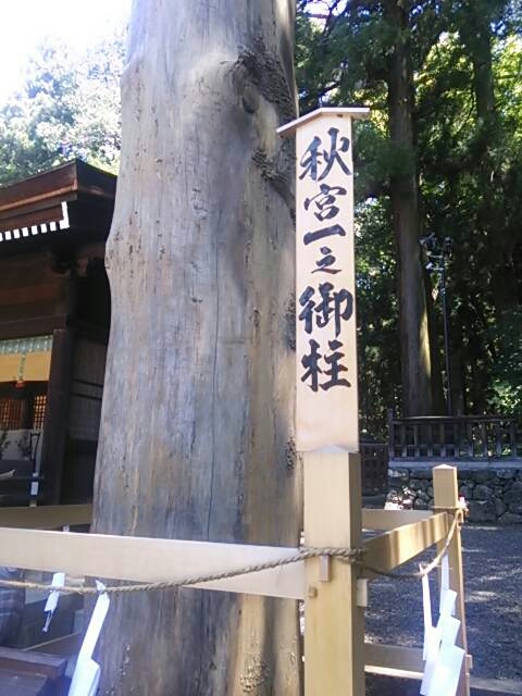 b0177596_1631361.jpg