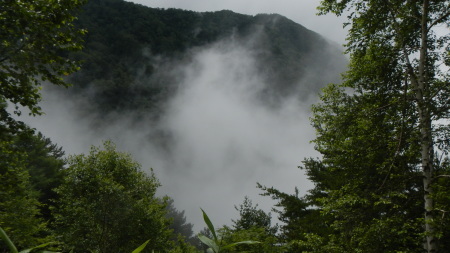 霧の動き_e0120896_07043802.jpg