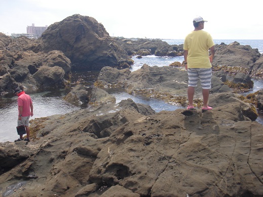 e0147297_1515110.jpg
