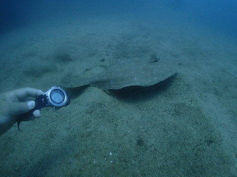 e0115199_16545266.jpg
