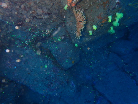 e0115199_20132638.jpg
