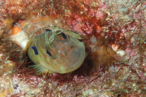 e0115199_20143445.jpg