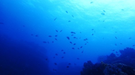 e0115199_20174351.jpg