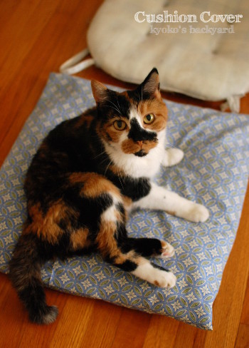 意図せず和風な、猫用クッションカバー_b0253205_03021513.jpg