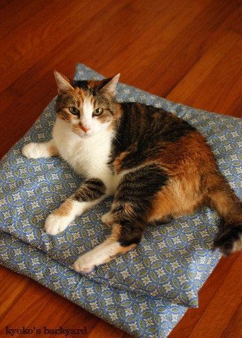 意図せず和風な、猫用クッションカバー_b0253205_03040965.jpg