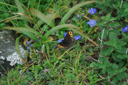 c0152317_16371387.jpg