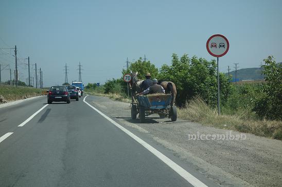 ルーマニアは馬車が大活躍する国でした！_b0129725_11335171.jpg