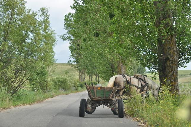 ルーマニアは馬車が大活躍する国でした！_b0129725_11452657.jpg