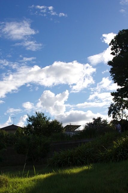 e0021328_00533542.jpg