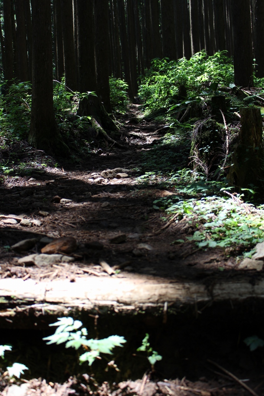 ▲7月の「月一山へ」報告_a0355629_13120032.jpg