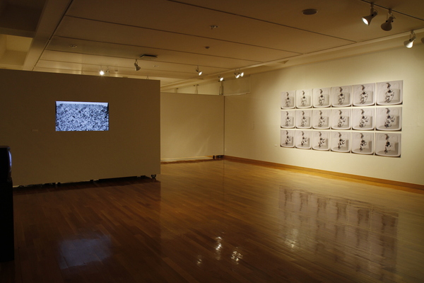 第32回東川賞受賞作家展 _b0187229_2034331.jpg