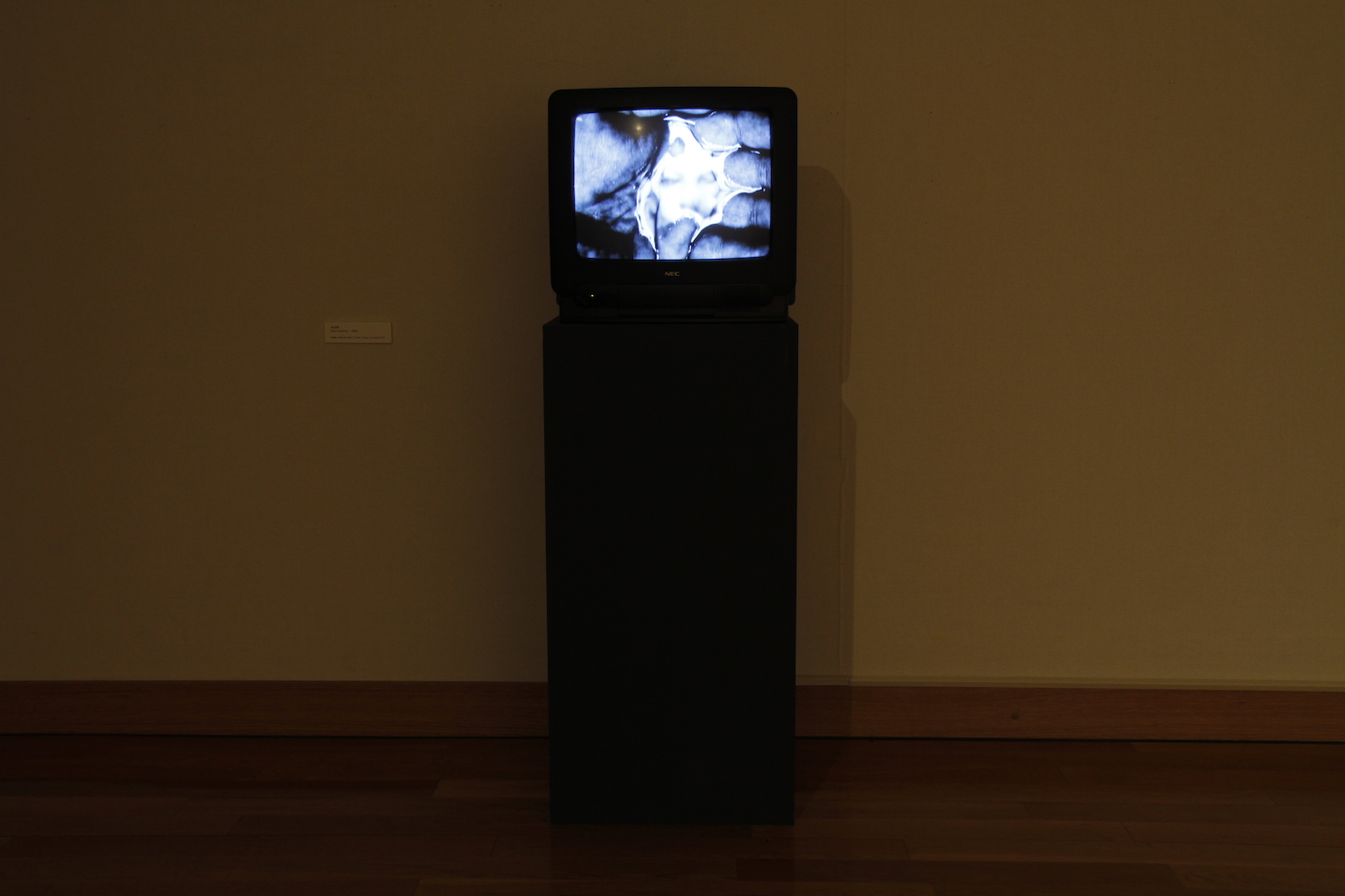 第32回東川賞受賞作家展 _b0187229_204095.jpg