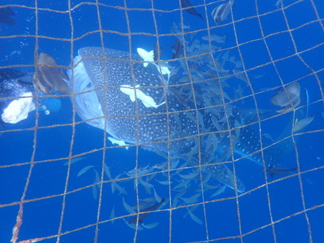 8月5日くるくるお天気!!_c0070933_22302923.jpg