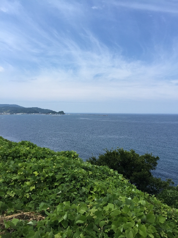 能登半島⭐️西側攻略 (おまけ)_c0113733_23533698.jpg
