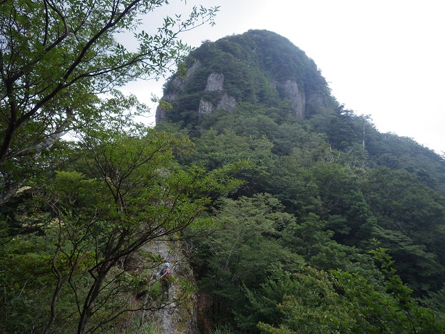 鷹ノ巣山から野垰へ_e0164643_13302687.jpg