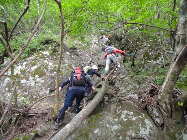 鷹ノ巣山から野垰へ_e0164643_13535015.jpg