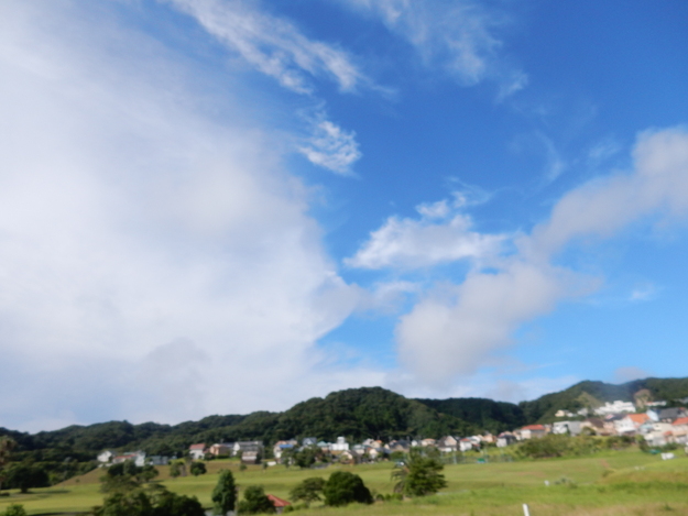 ’16,8,5(金)夏休みのブルーベリーヒル!_f0060461_1138101.jpg