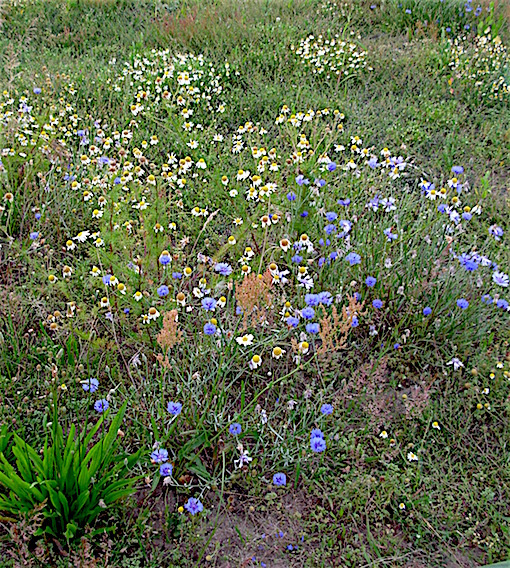 e0357367_0144711.jpg