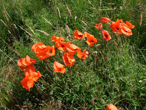 e0357367_0184295.jpg