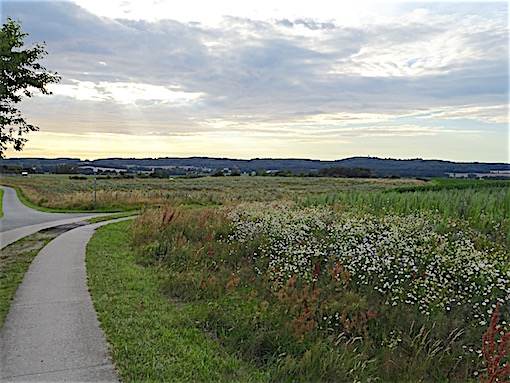 e0357367_0193887.jpg