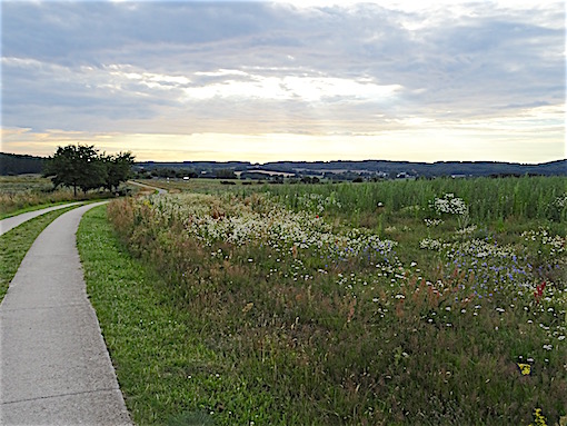 e0357367_020721.jpg
