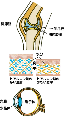 a0296269_09280638.png