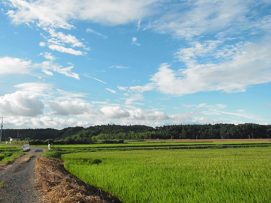 2016.7.31〜8.2　茨城県水戸市レラの森周辺_f0131669_1935324.jpg