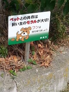 f0228680_931310.jpg