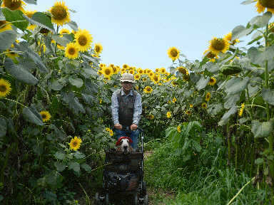 f0205887_20152041.gif