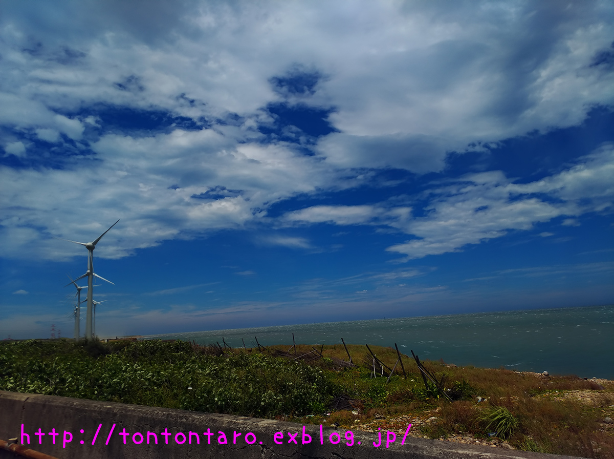 a0112888_21482214.jpg