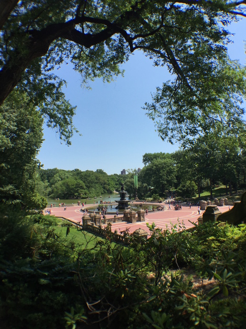 d0145790_8241993.jpg