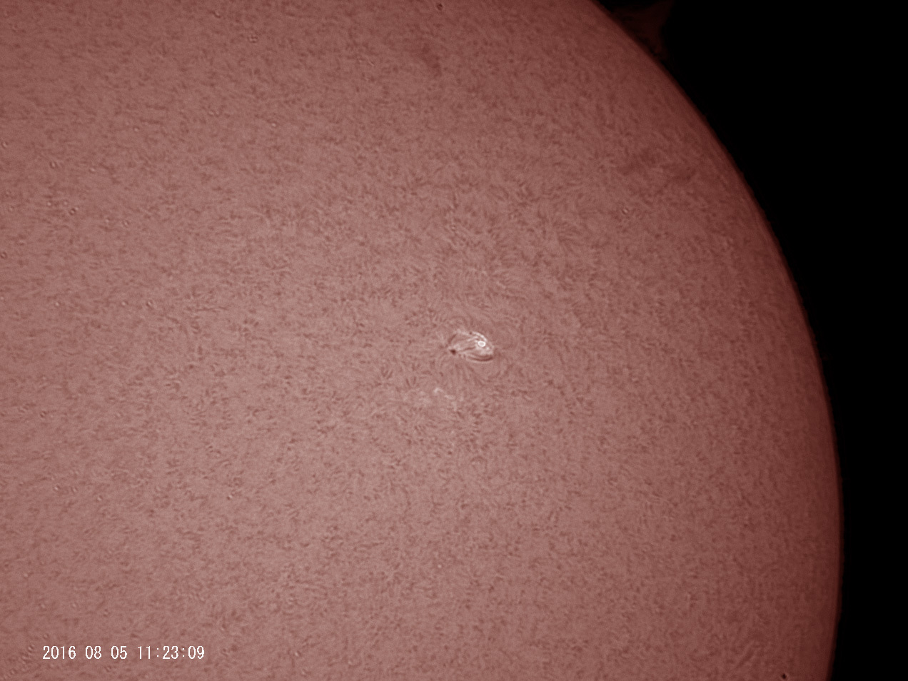 8月5日の太陽_e0174091_13245865.jpg