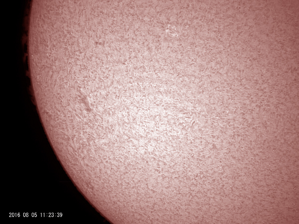 8月5日の太陽_e0174091_13250215.jpg