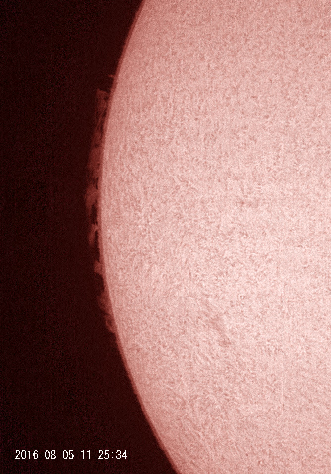 8月5日の太陽_e0174091_13251053.jpg